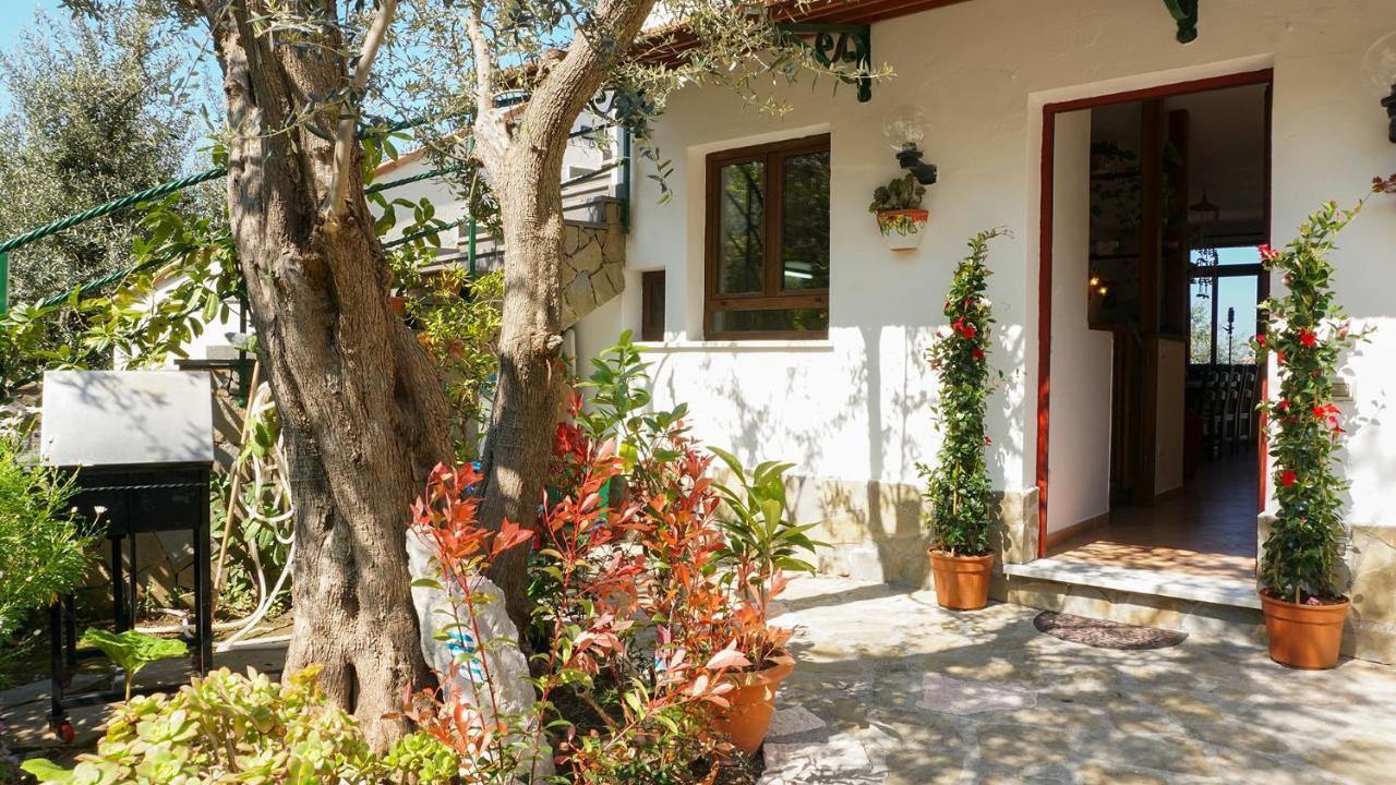 Amore Rentals - Casa Tatano Marciano Eksteriør bilde
